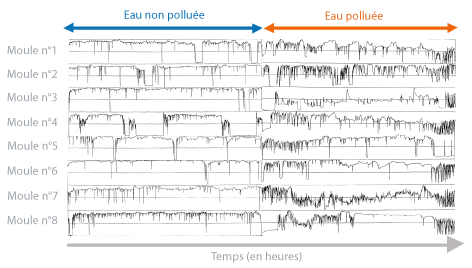 >Trac&eacute;s des enregistrements de l’ouverture/fermeture de 8 moules